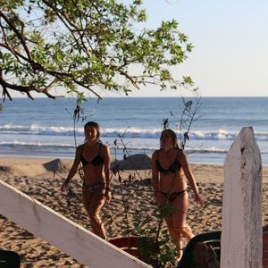 Meet your Posher, Sophia